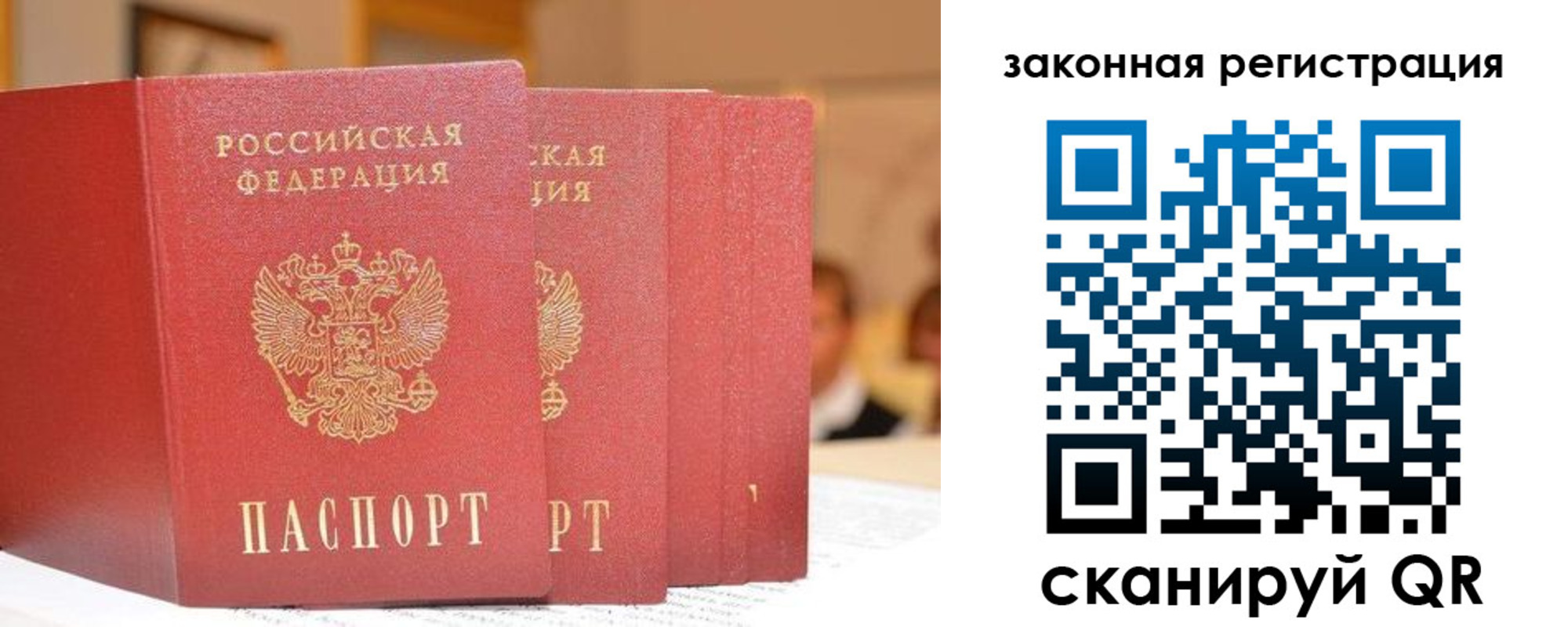 прописка поиск в Лыткарино
